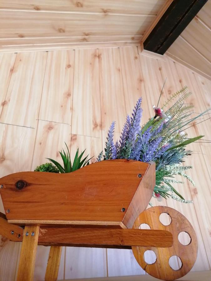Cozy Attic Studio Braşov Dış mekan fotoğraf