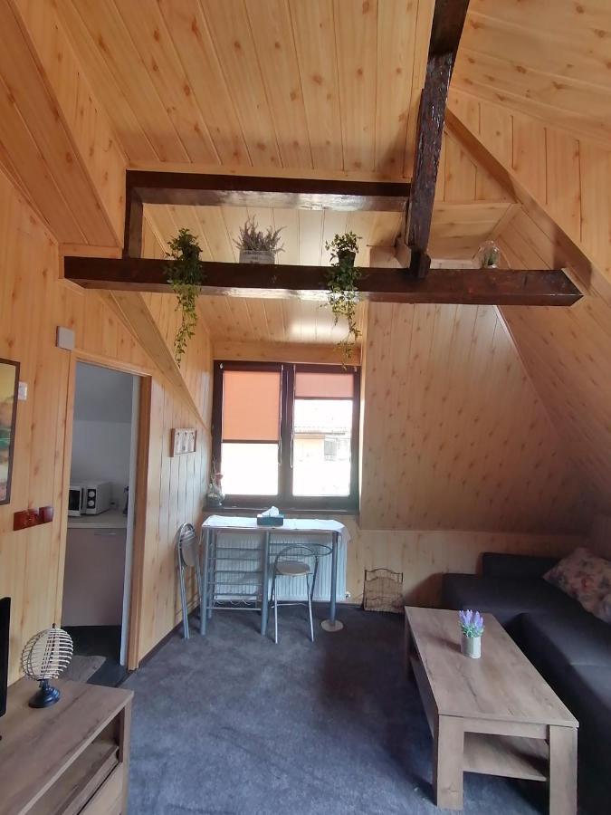 Cozy Attic Studio Braşov Dış mekan fotoğraf