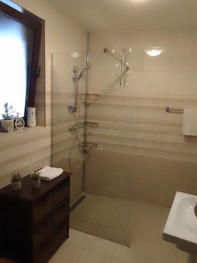 Cozy Attic Studio Braşov Dış mekan fotoğraf